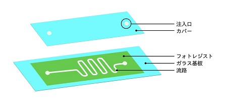 フォトリソグラフィ法によるマイクロ流路チップの構造 © TOPPAN INC.